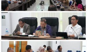 WhatsApp Image 2025-11-11 at 18.40.00