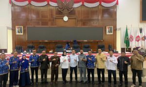 WhatsApp Image 2025-11-17 at 16.47.39