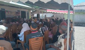 WhatsApp Image 2026-02-11 at 11.27.07