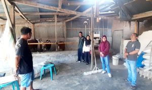 WhatsApp Image 2026-02-11 at 12.47.33 (1)