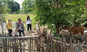 c217b898-0e5f-4055-8d9e-2d2b92ddf243 (1)